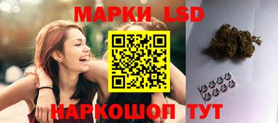 spice Рязань