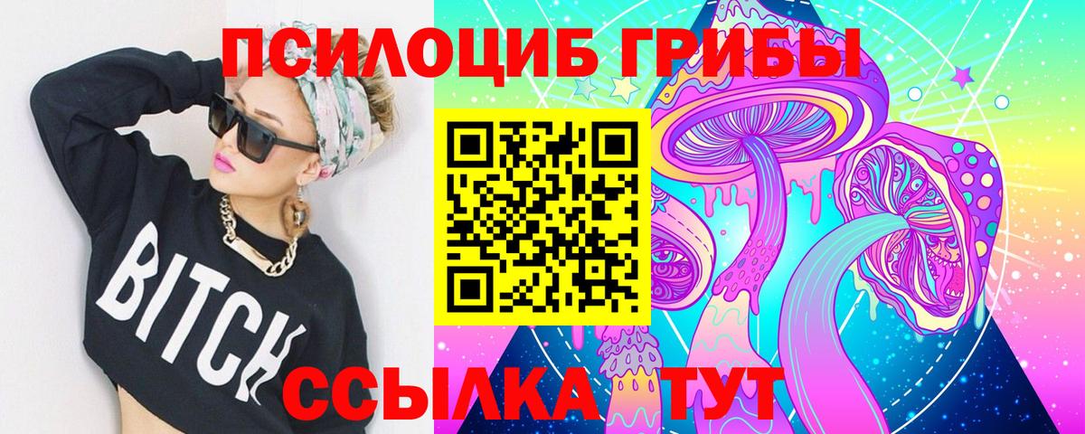 Галлюциногенные грибы Psilocybine cubensis Новокубанск