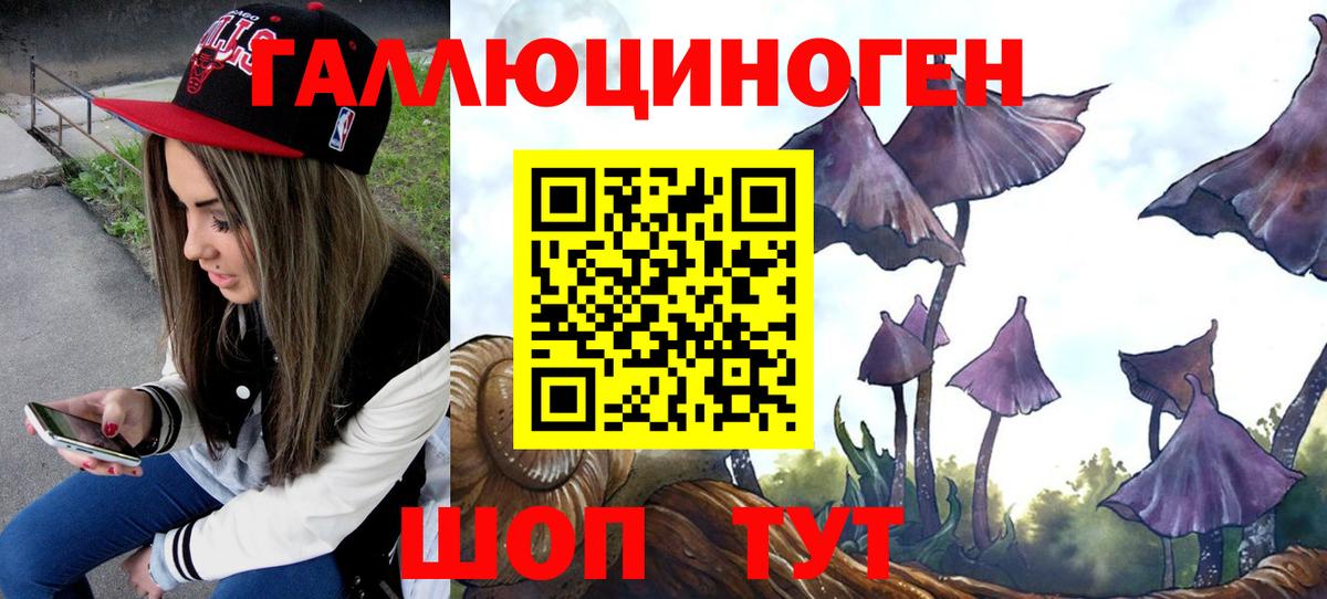 Галлюциногенные грибы прущие грибы  Вход с VPN  Новокубанск  Псилоцибиновые грибы прущие грибы 